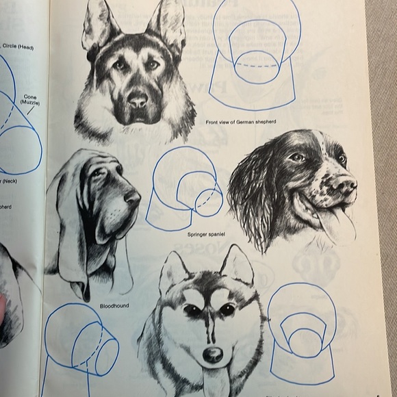 📚2/$6 2-Book Bundle Learn to Draw Animals - Picture 9 of 16